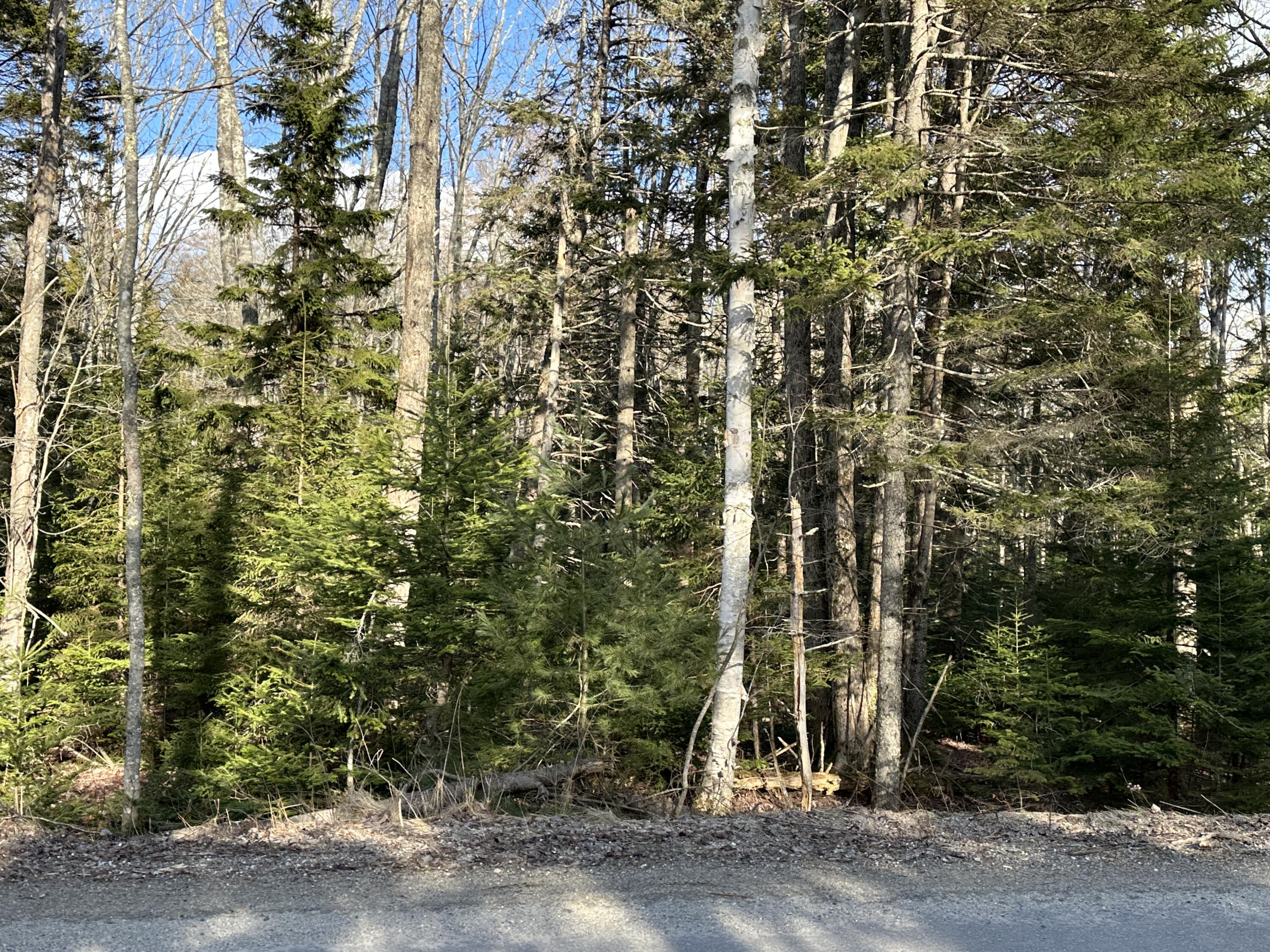 50 Cline Road Saint George ME 04859