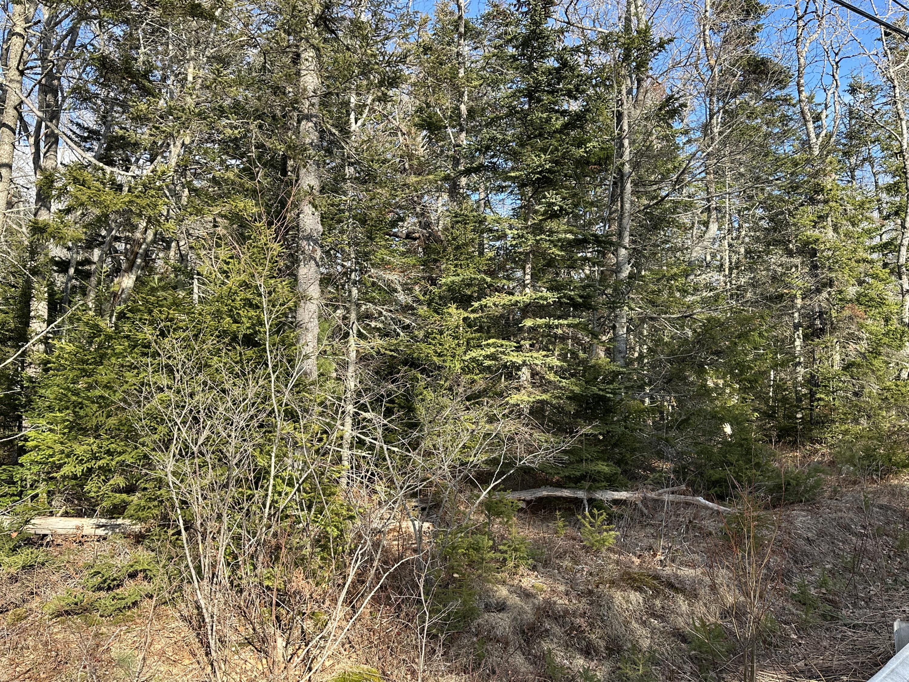 50 Cline Road Saint George ME 04859