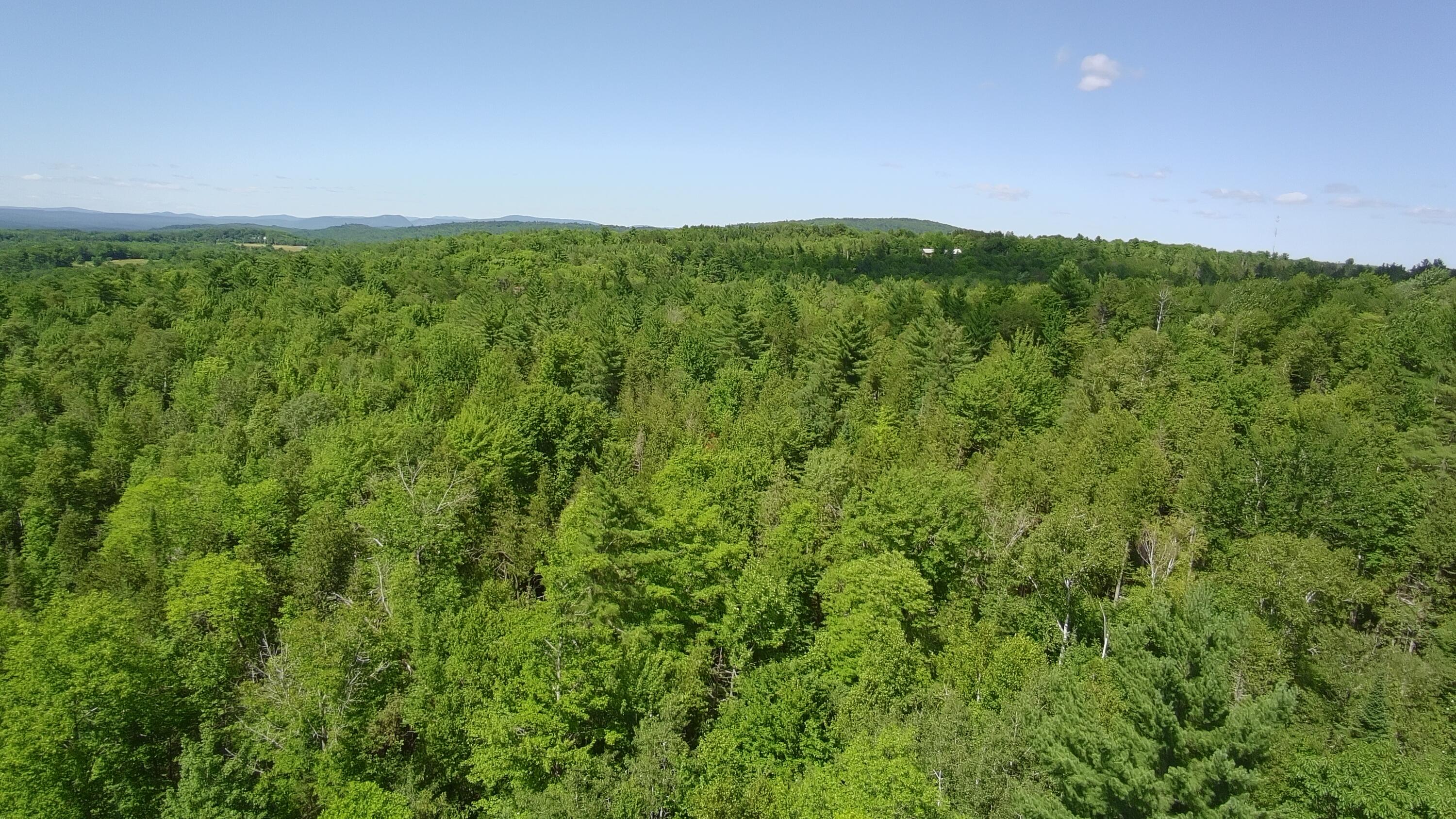 163 Blaine Avenue Guilford ME 04443