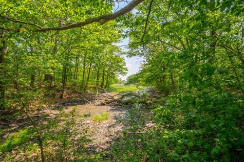 162 Hobart Street Portland ME 04102