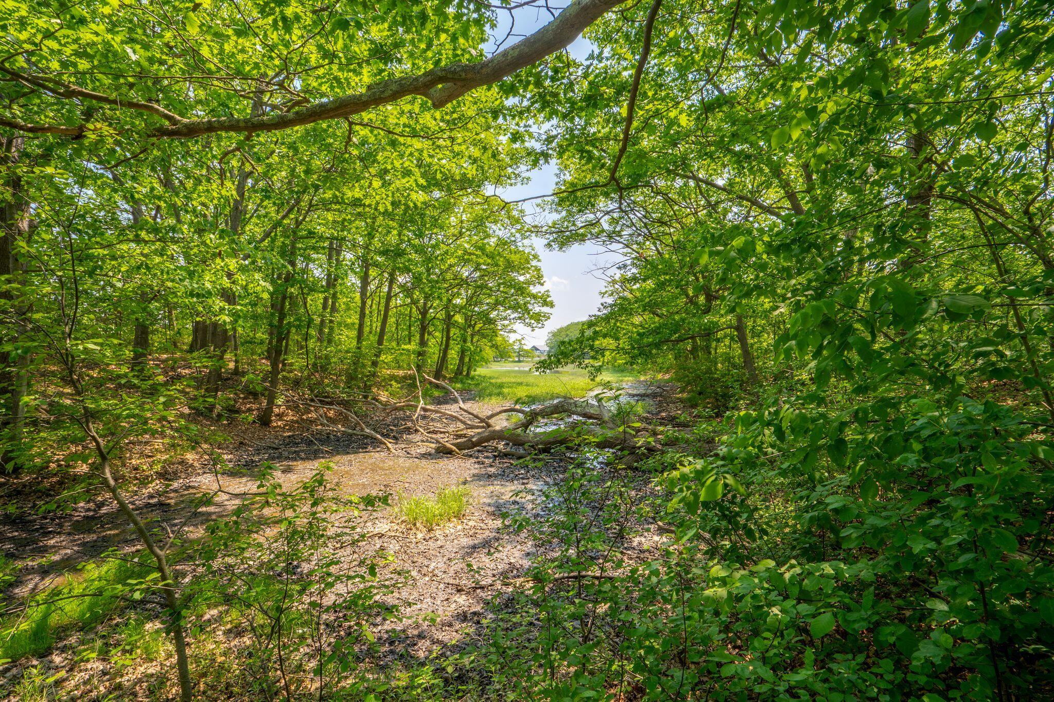 162 Hobart Street Portland ME 04102