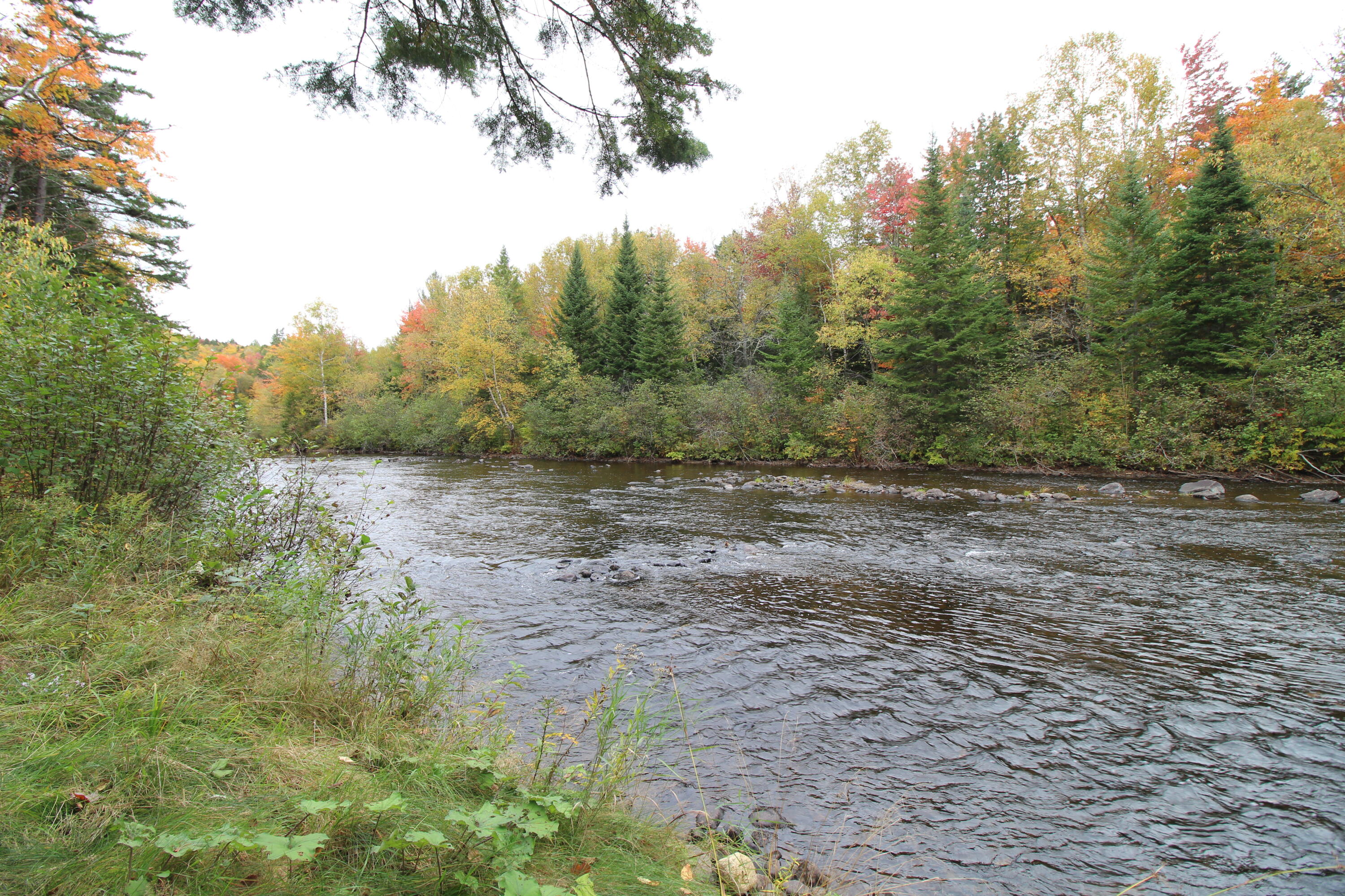 3279 Arnold Trail Alder Stream Twp ME 04936