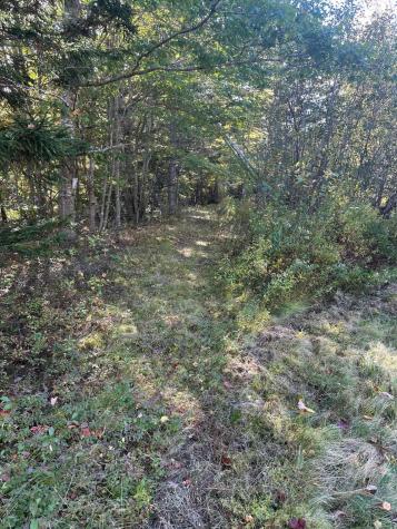 100 N Main Street Milbridge ME 04658