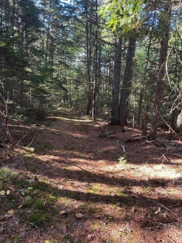 100 N Main Street Milbridge ME 04658