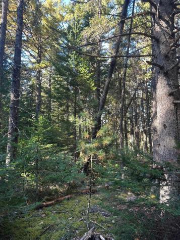 100 N Main Street Milbridge ME 04658