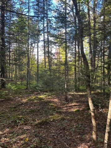 100 N Main Street Milbridge ME 04658