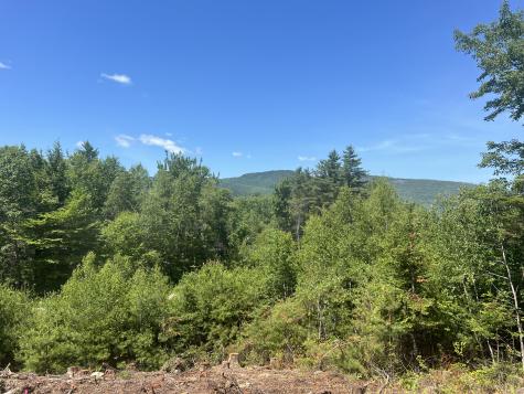 50 Thunder Snow Road Bethel ME 04217