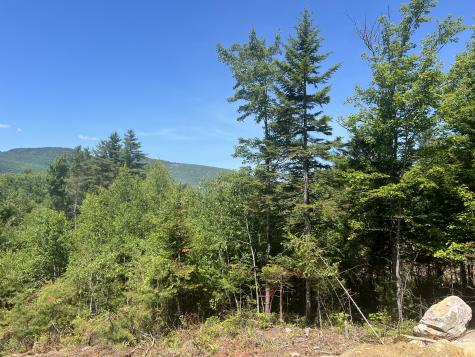 50 Thunder Snow Road Bethel ME 04217