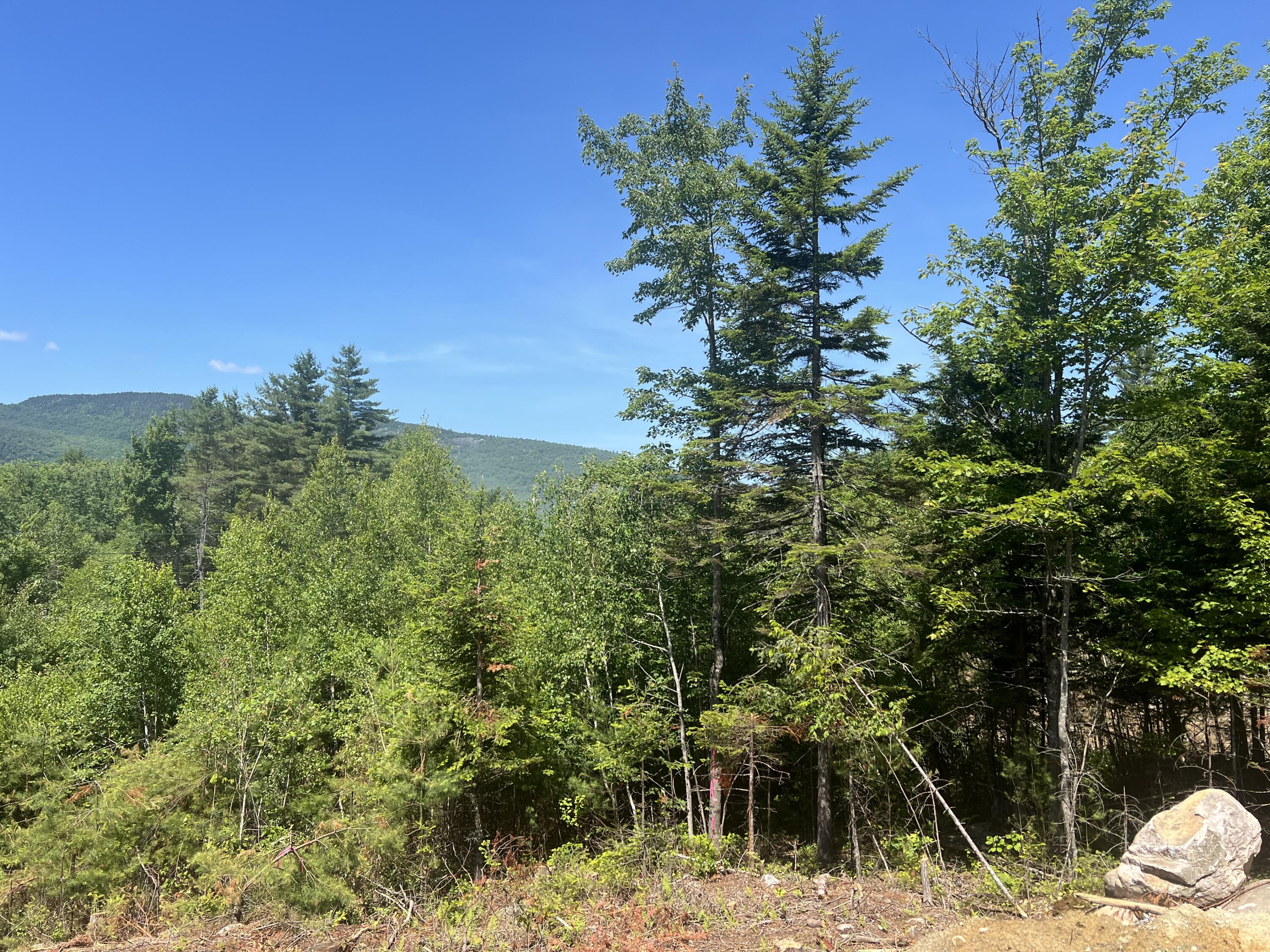 50 Thunder Snow Road Bethel ME 04217