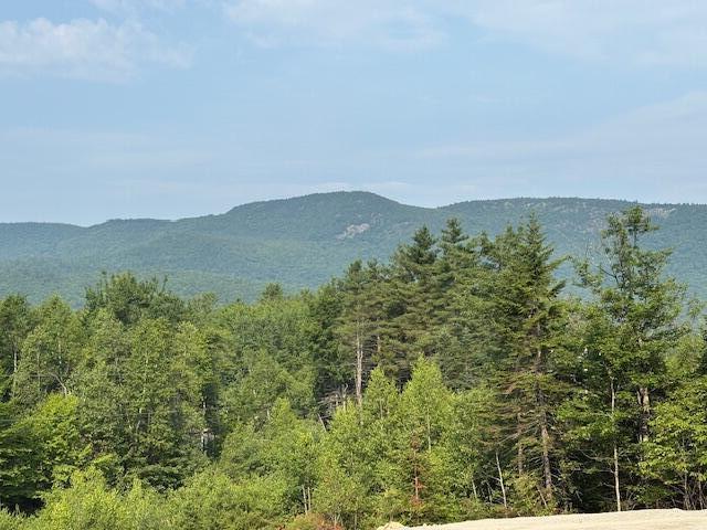 50 Thunder Snow Road Bethel ME 04217