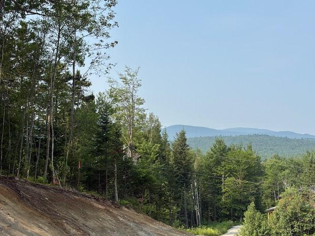 50 Thunder Snow Road Bethel ME 04217