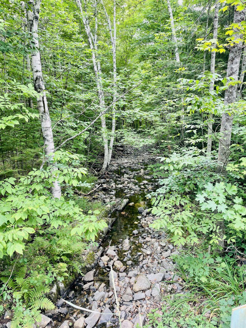 347 Mayfield Road Moscow ME 04920