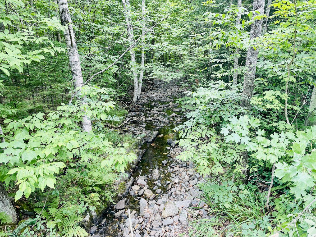 347 Mayfield Road Moscow ME 04920