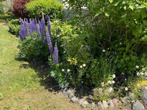 23 Washington Street Lubec ME 04652