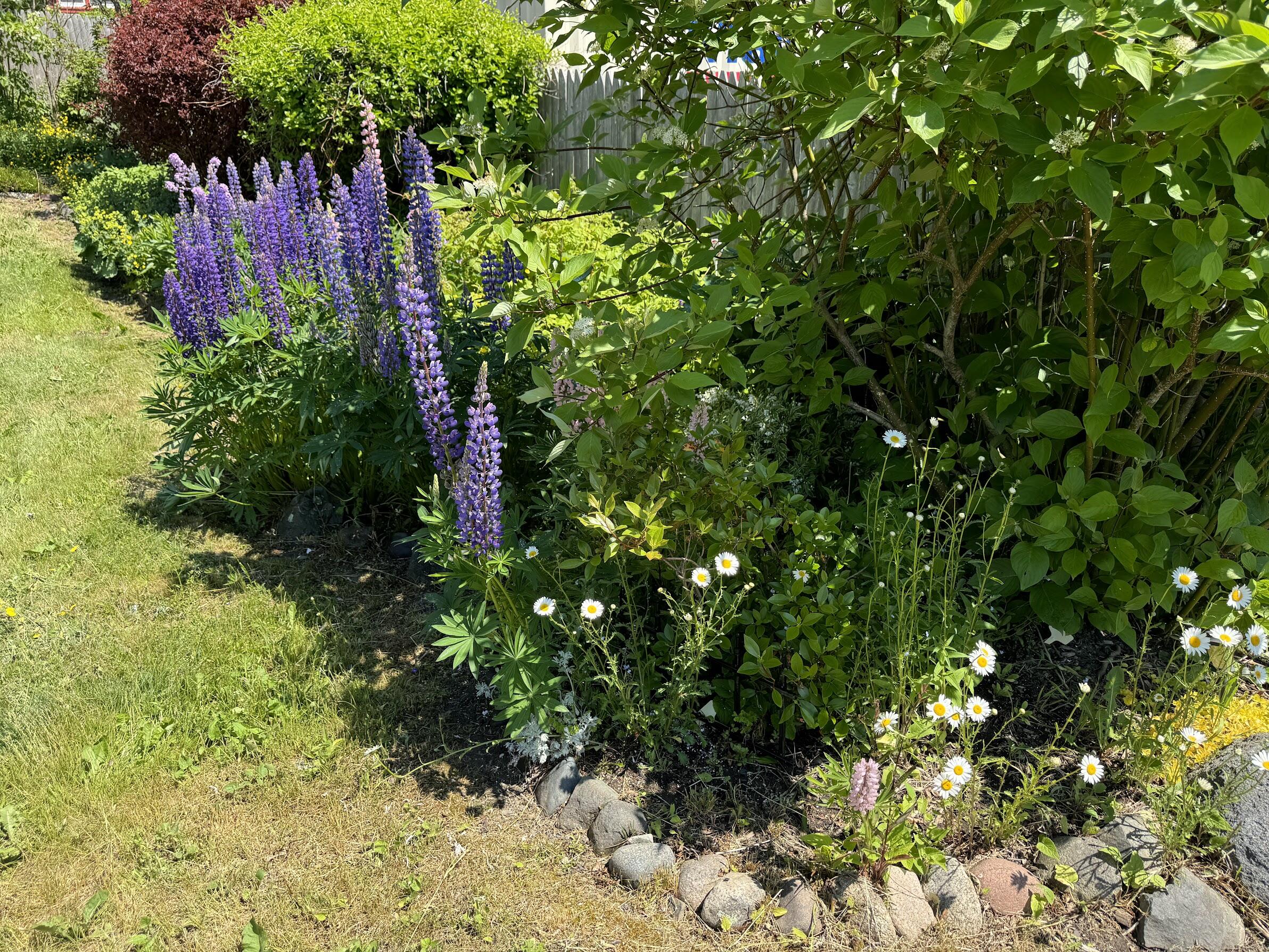 23 Washington Street Lubec ME 04652