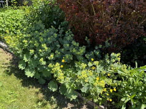 23 Washington Street Lubec ME 04652