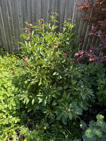 23 Washington Street Lubec ME 04652