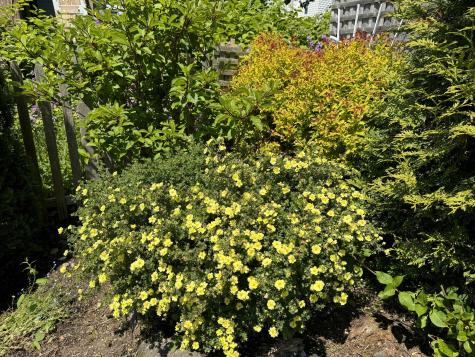 23 Washington Street Lubec ME 04652