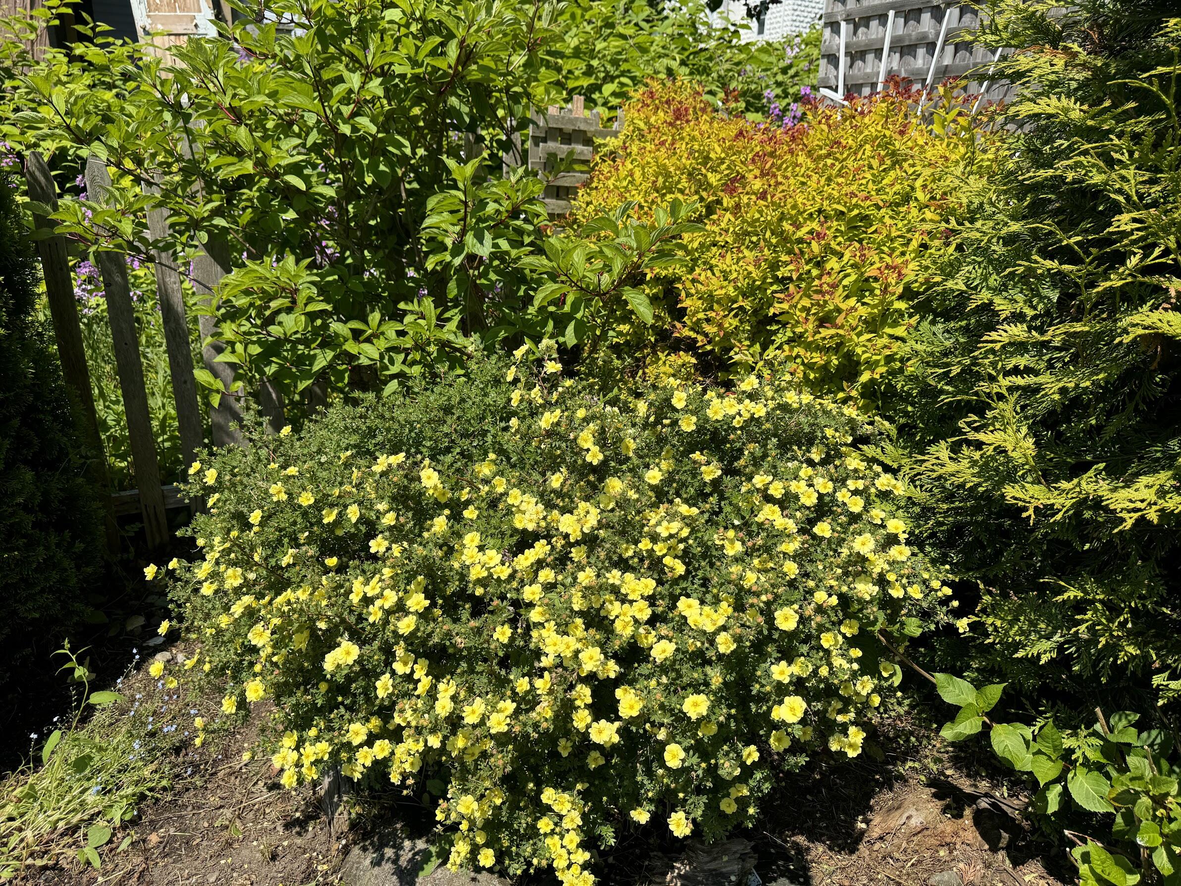 23 Washington Street Lubec ME 04652