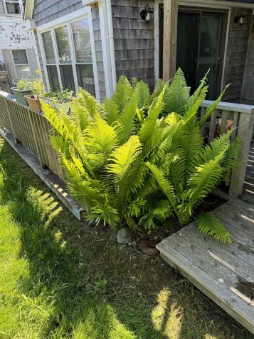 23 Washington Street Lubec ME 04652