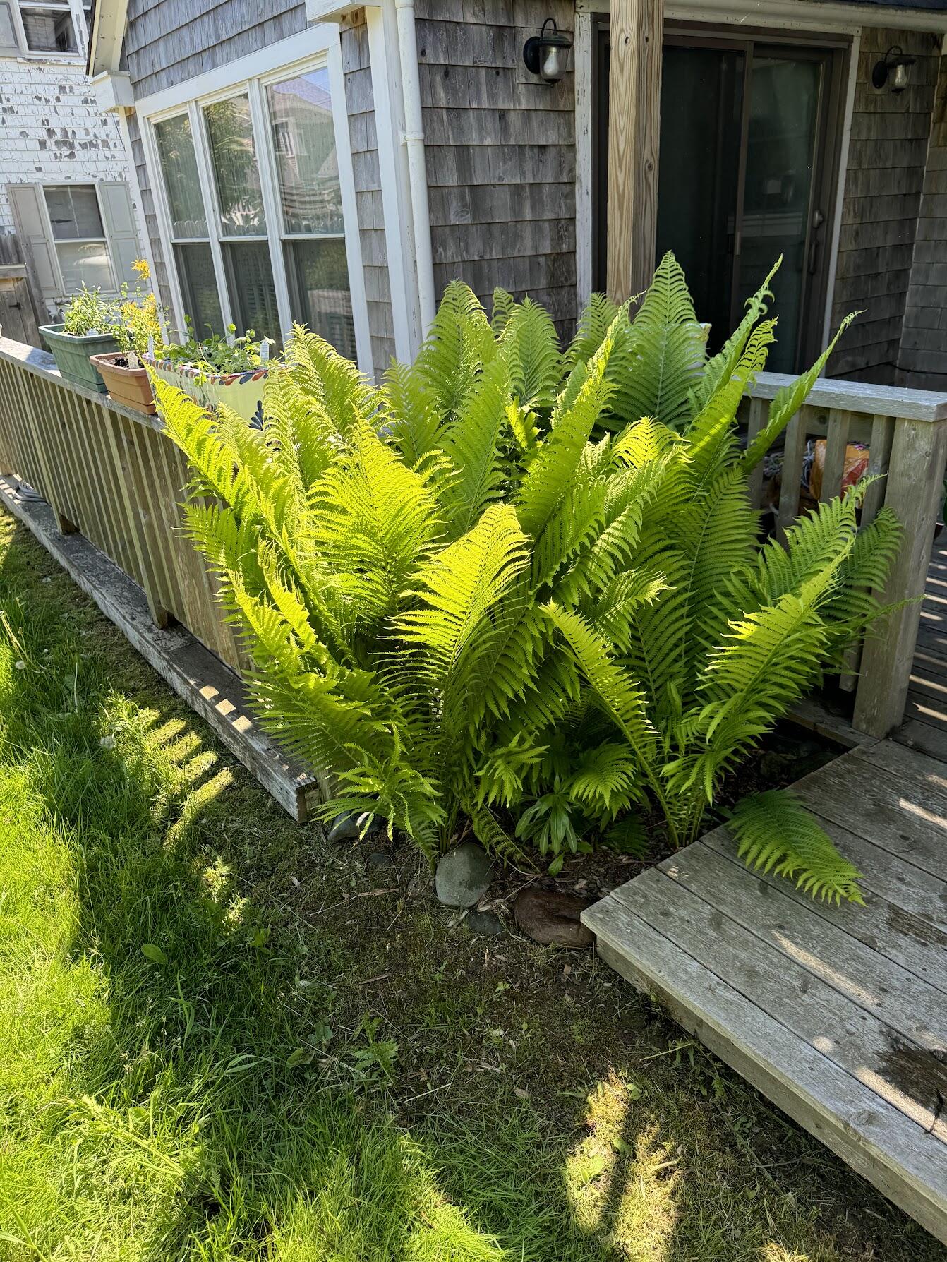 23 Washington Street Lubec ME 04652