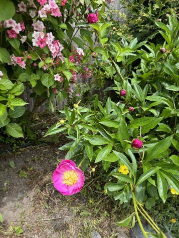 23 Washington Street Lubec ME 04652