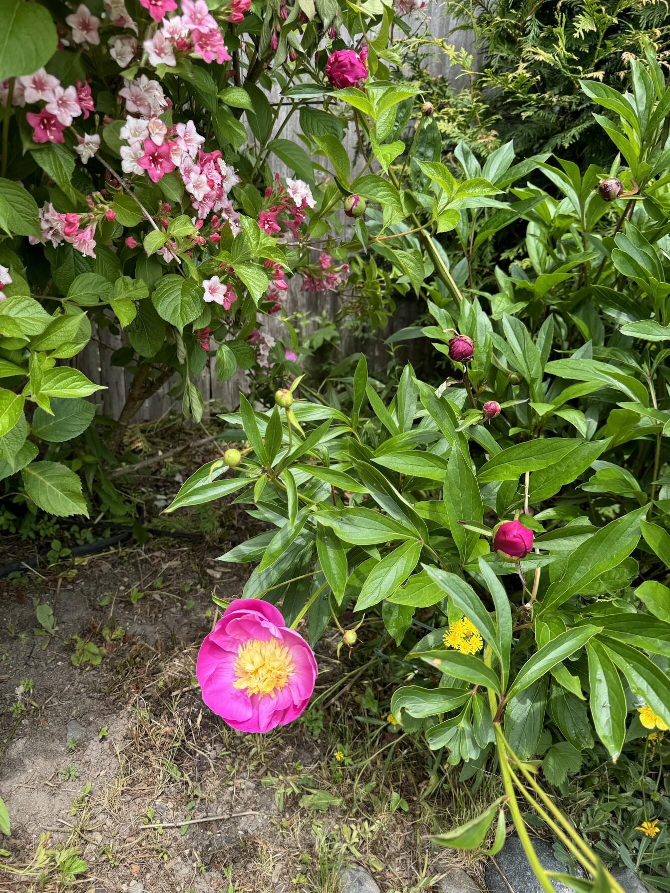 23 Washington Street Lubec ME 04652