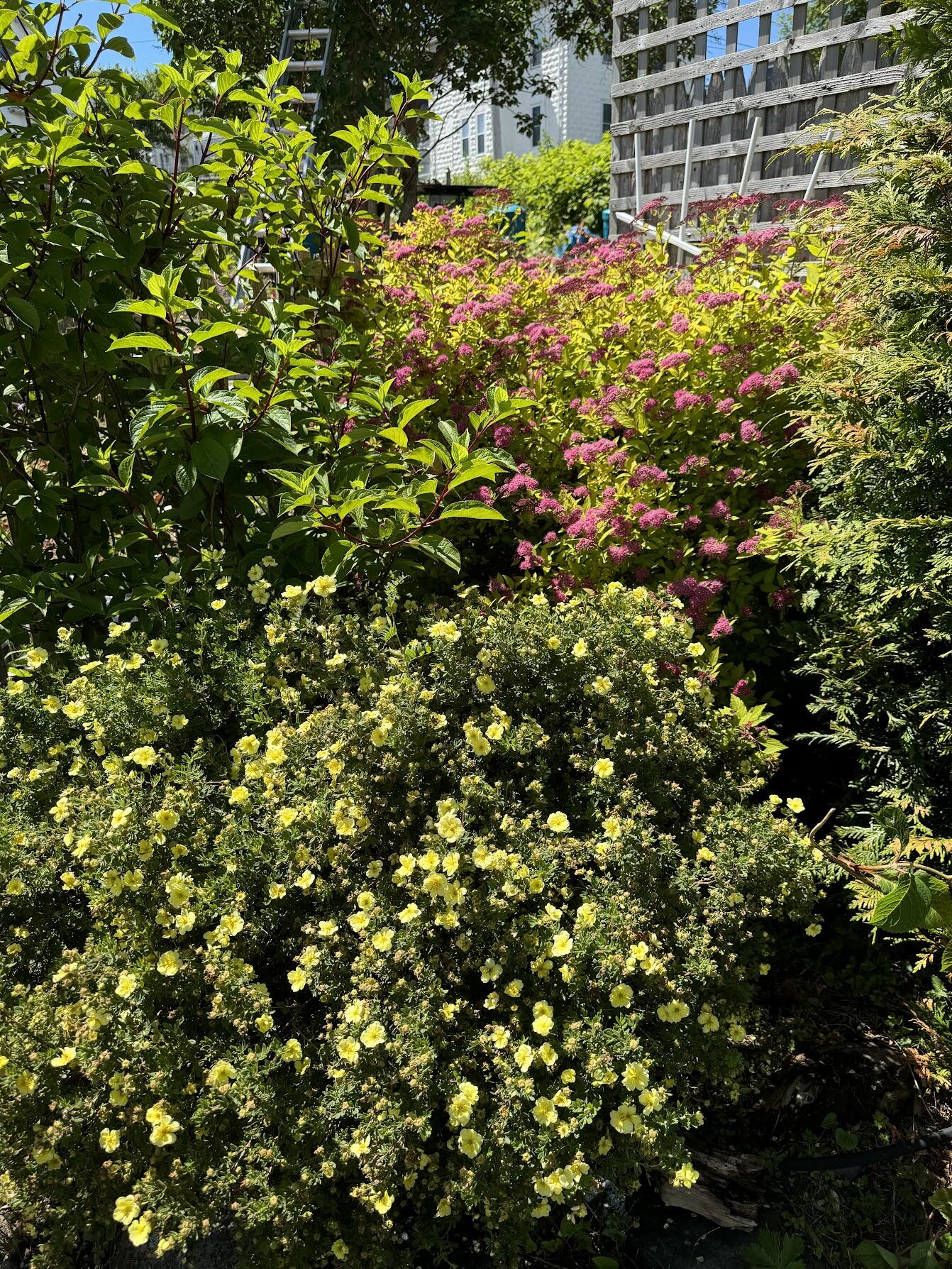 23 Washington Street Lubec ME 04652