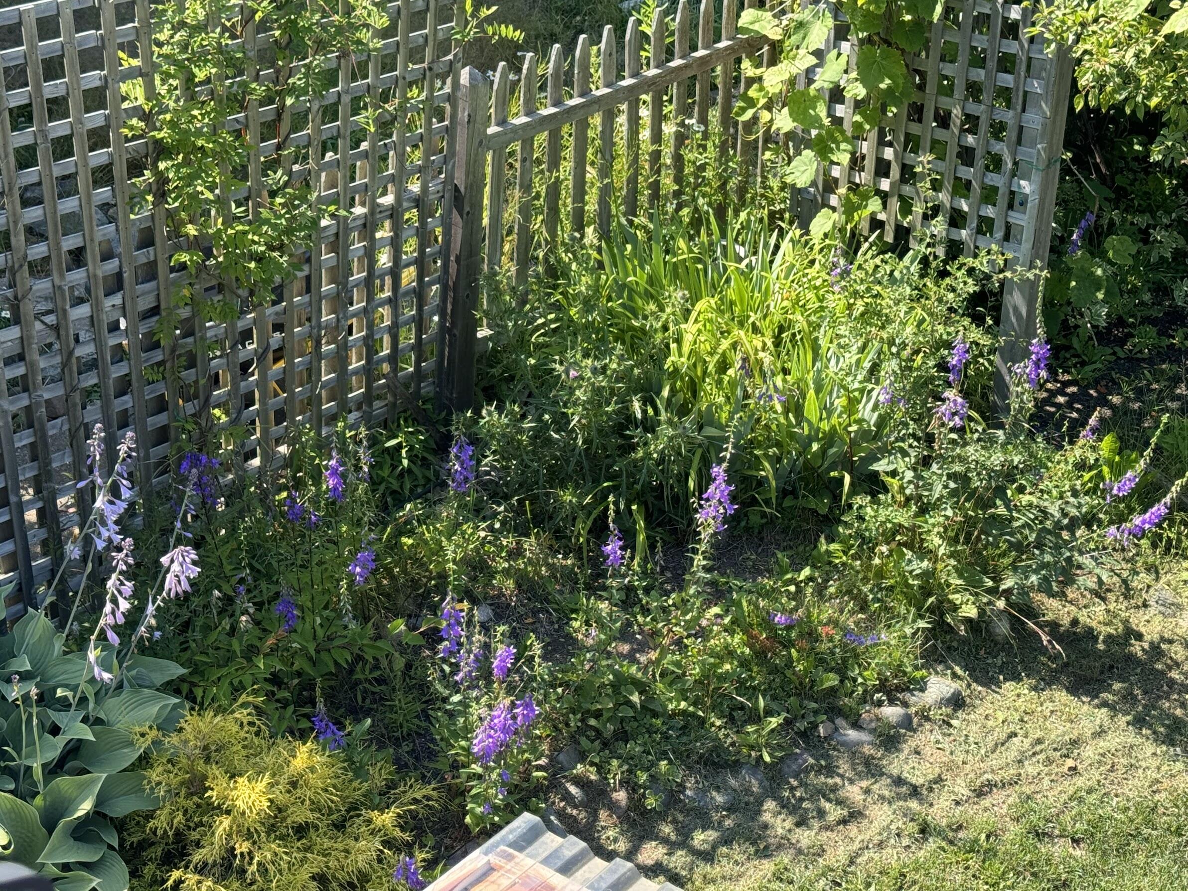 23 Washington Street Lubec ME 04652