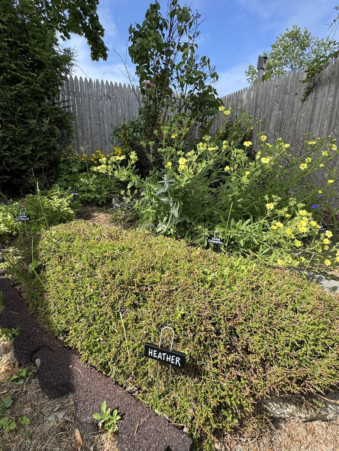 23 Washington Street Lubec ME 04652