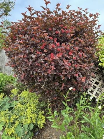 23 Washington Street Lubec ME 04652