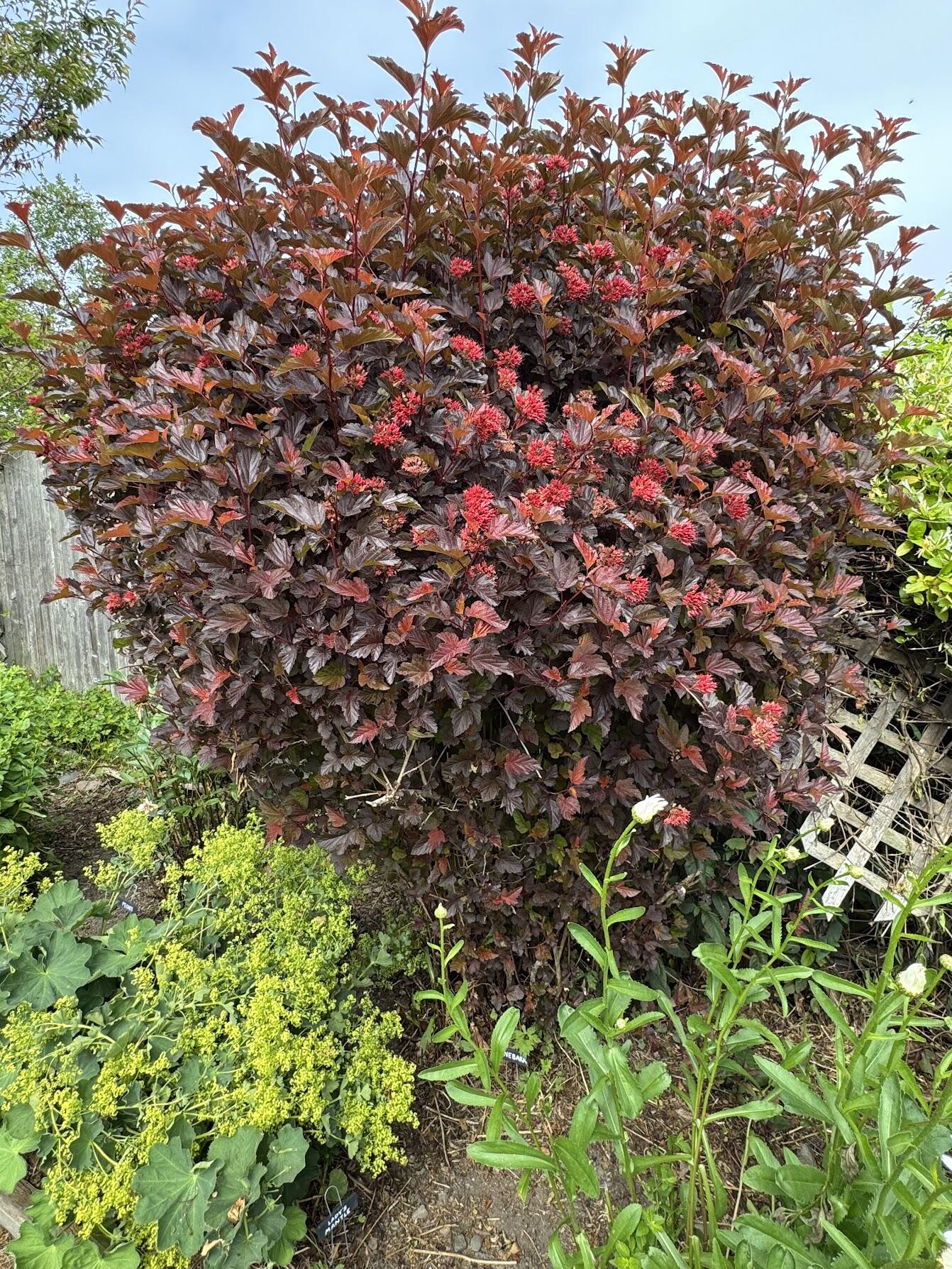 23 Washington Street Lubec ME 04652