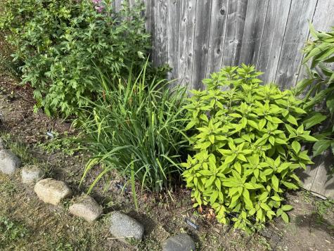 23 Washington Street Lubec ME 04652