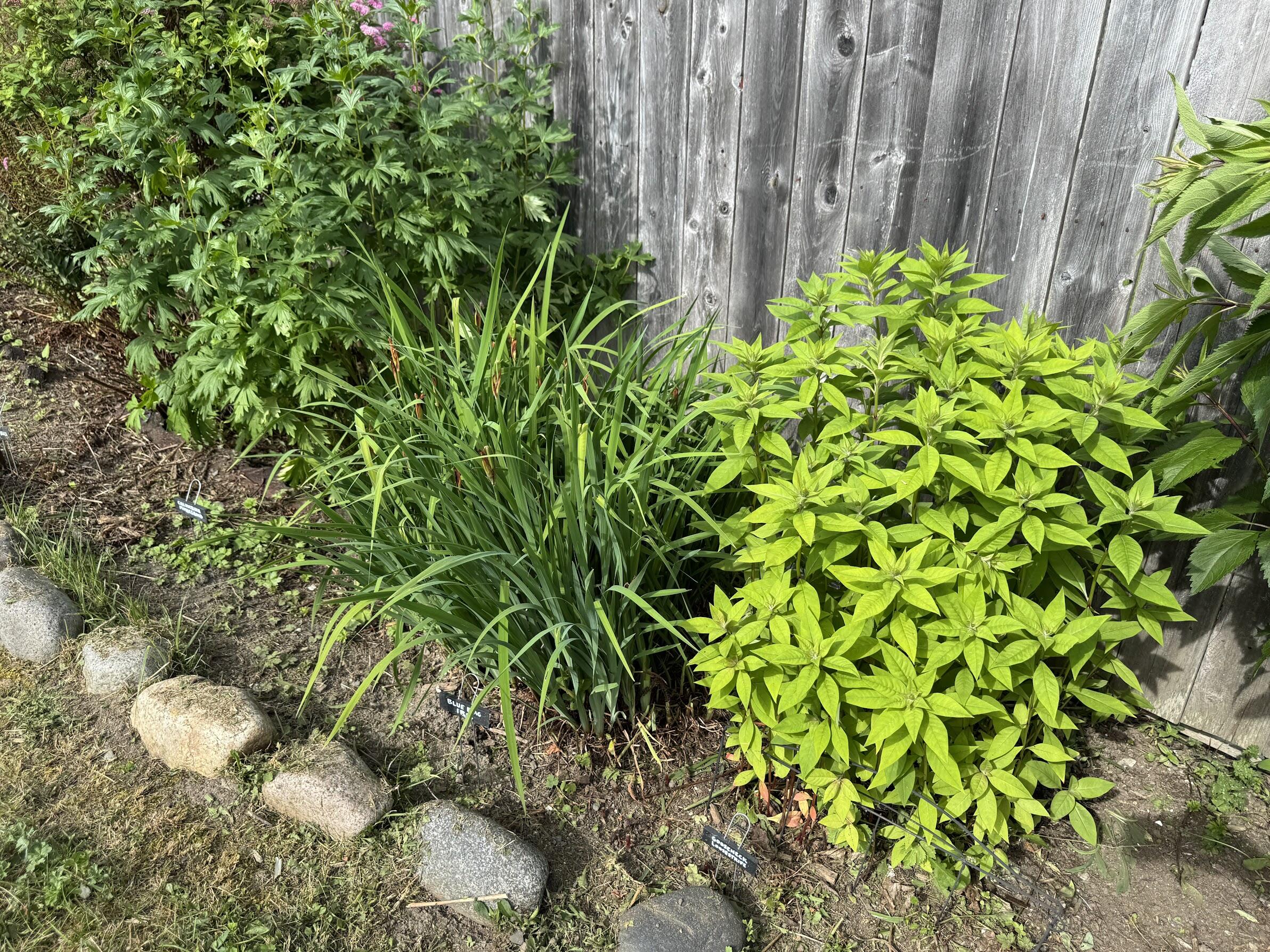 23 Washington Street Lubec ME 04652