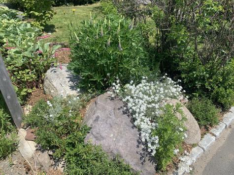 23 Washington Street Lubec ME 04652