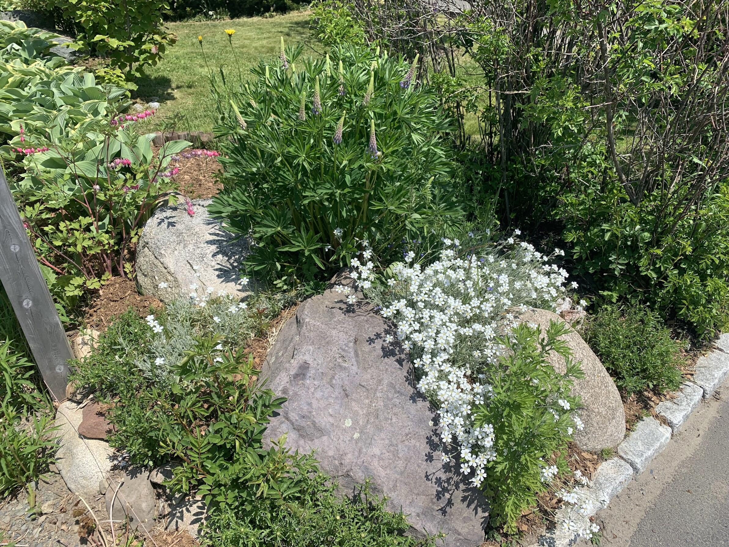 23 Washington Street Lubec ME 04652