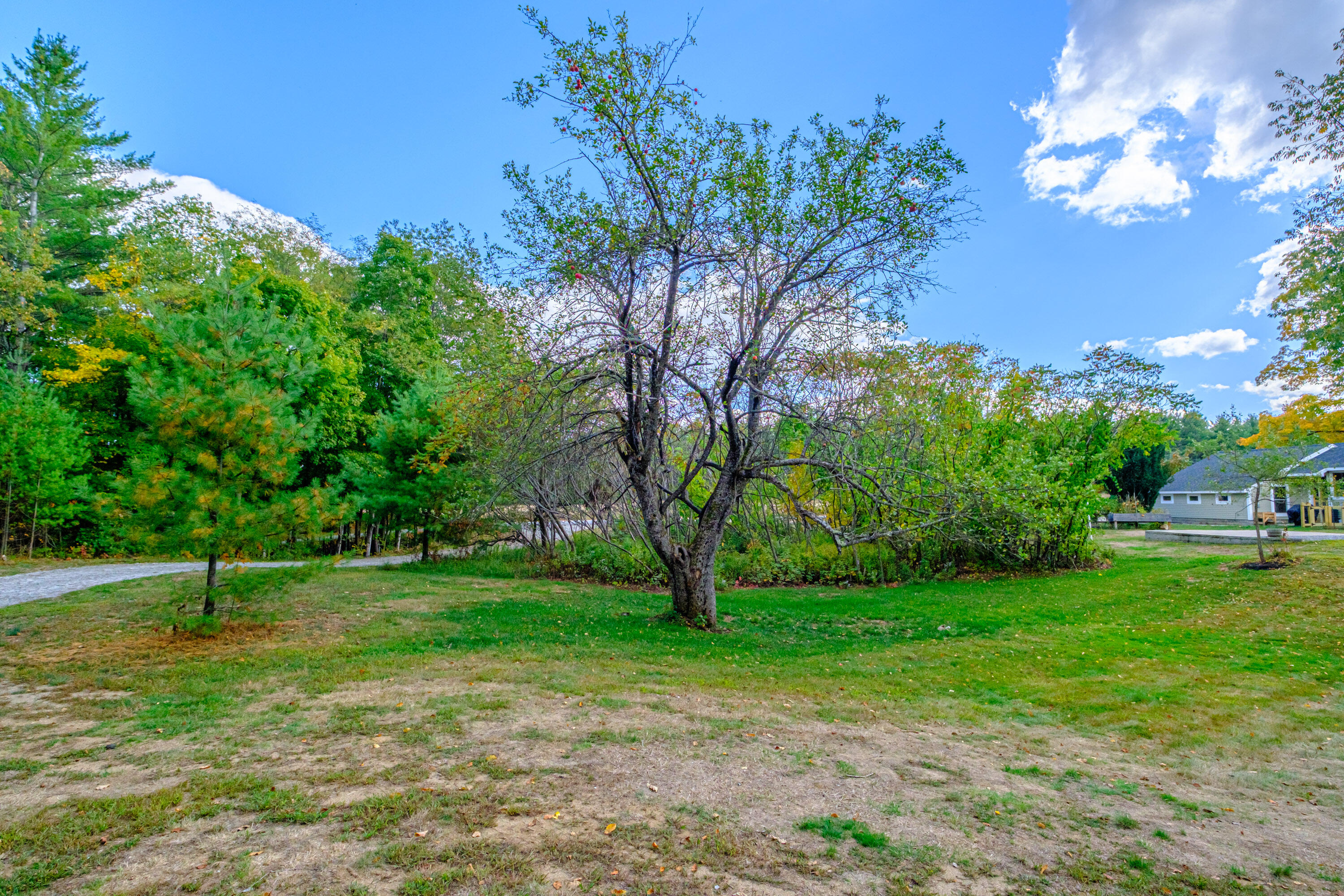 781 North Road Bethel ME 04217