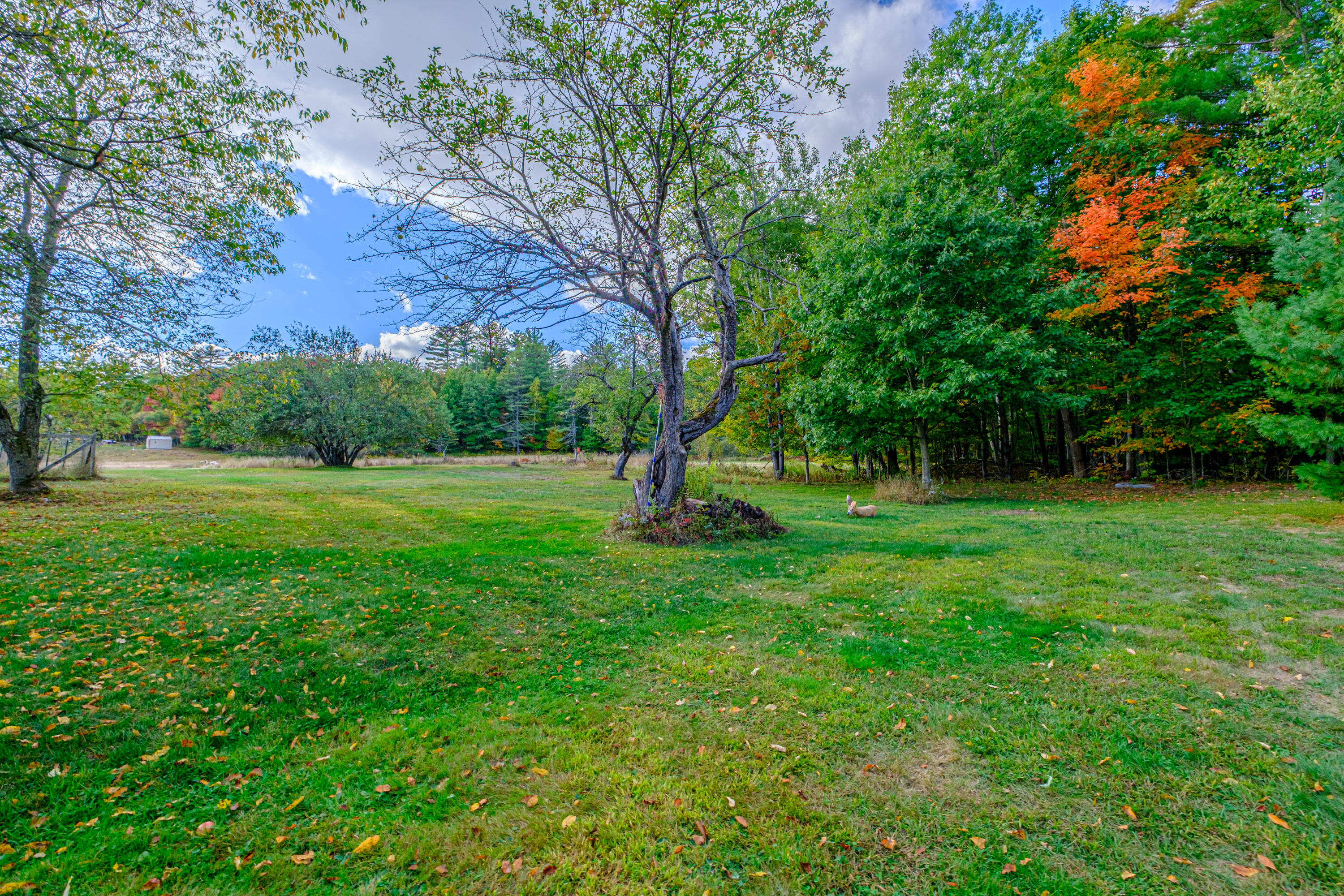 781 North Road Bethel ME 04217