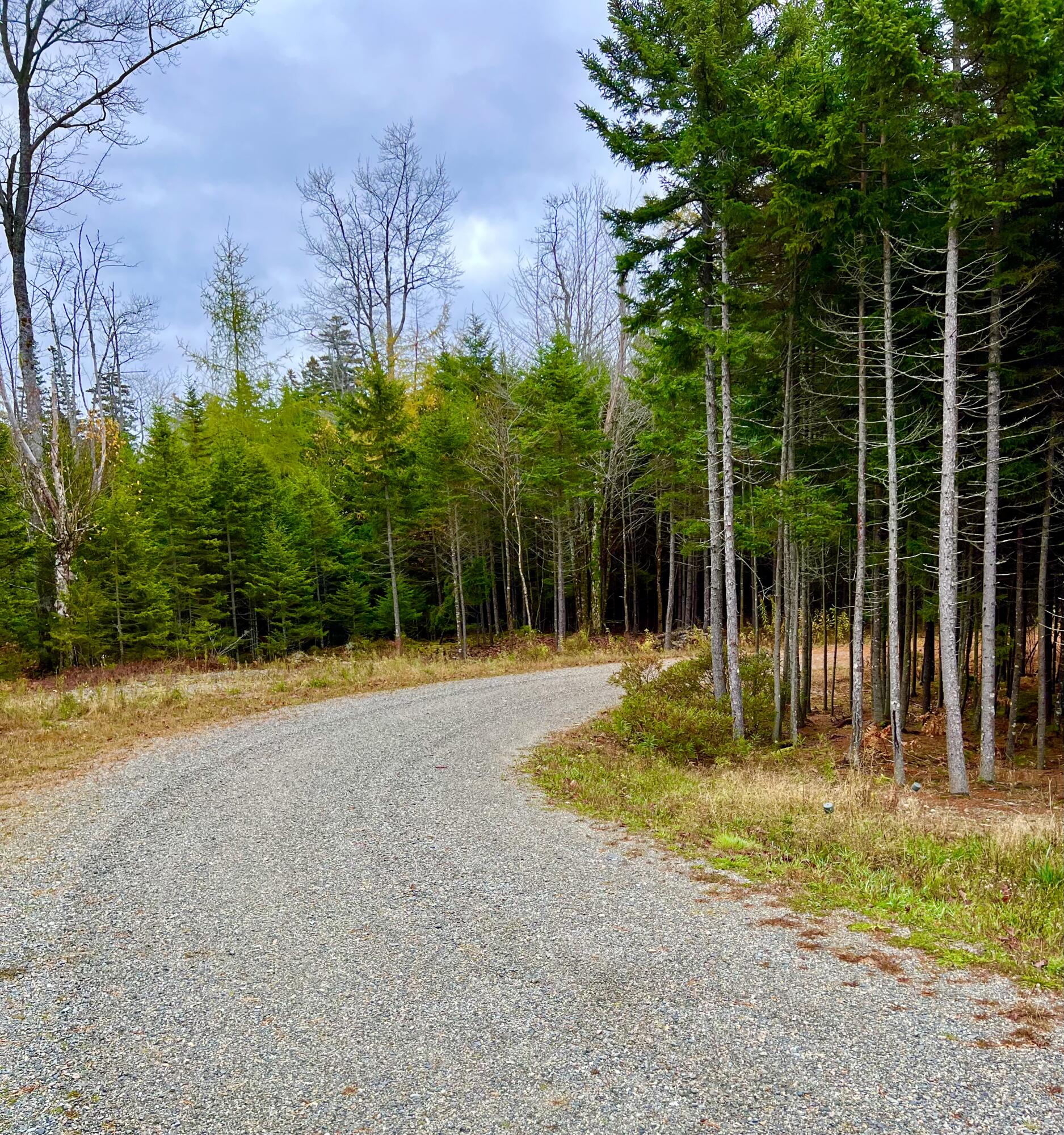 100 Bass Harbor Road Southwest Harbor ME 04679