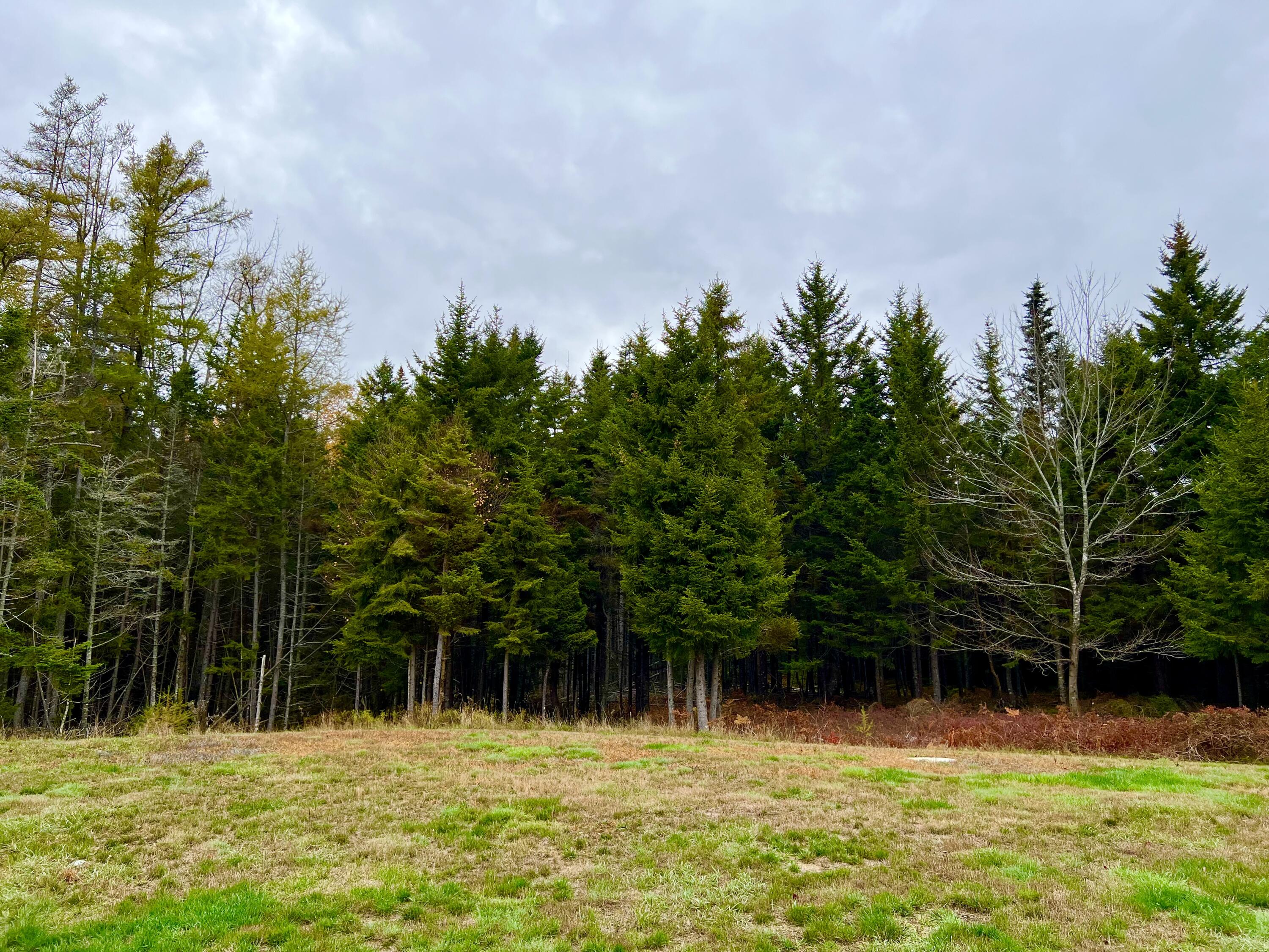 100 Bass Harbor Road Southwest Harbor ME 04679