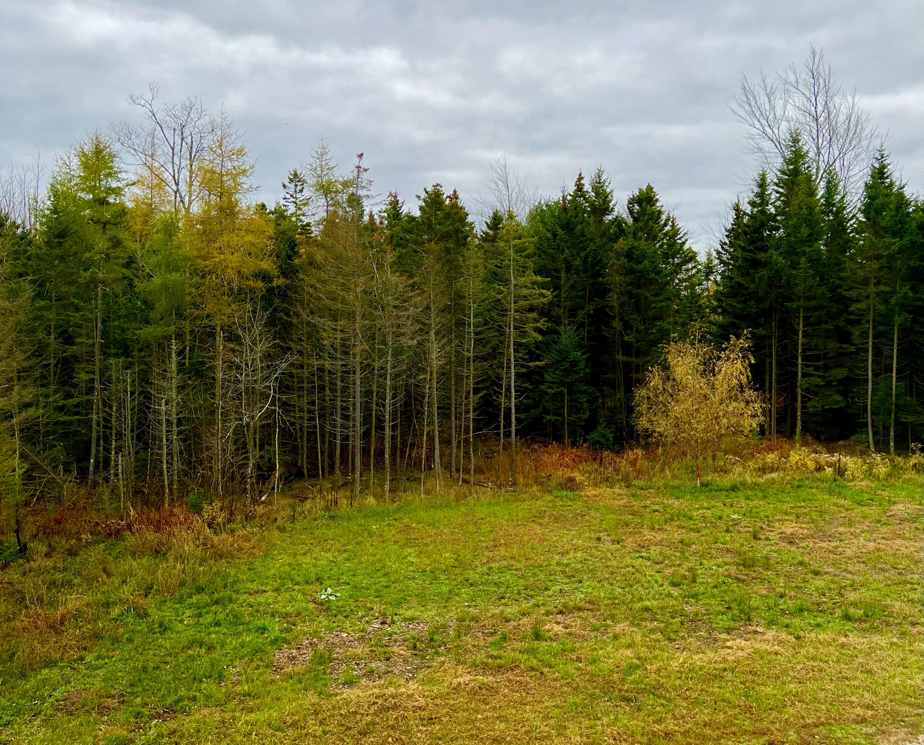 100 Bass Harbor Road Southwest Harbor ME 04679