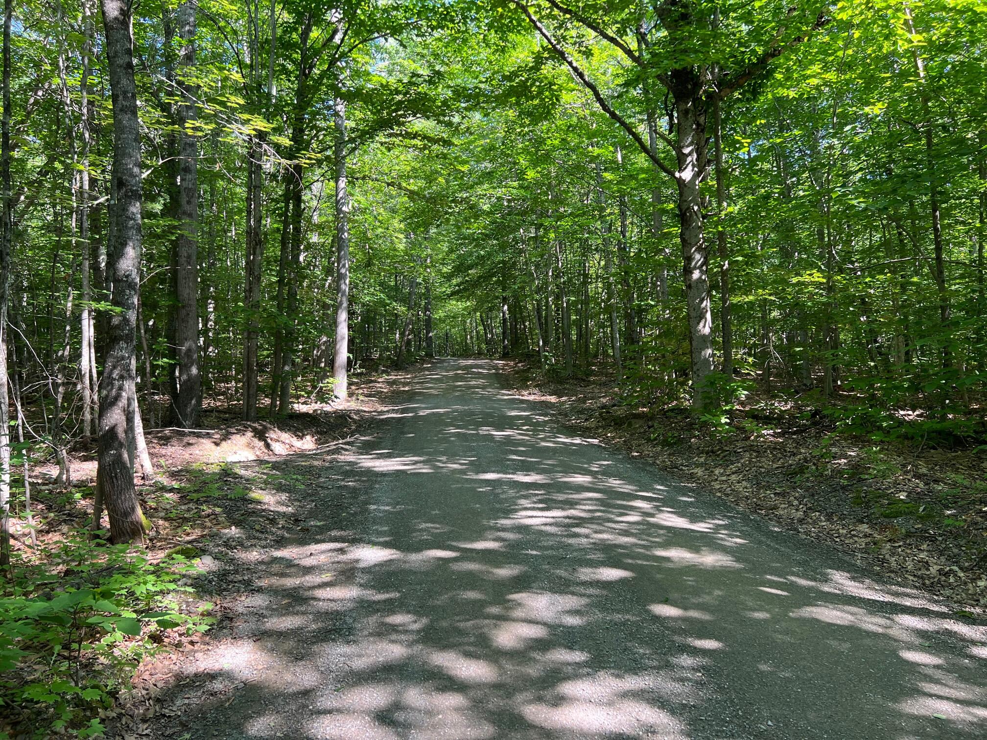 35 Swan Lane Dexter ME 04930