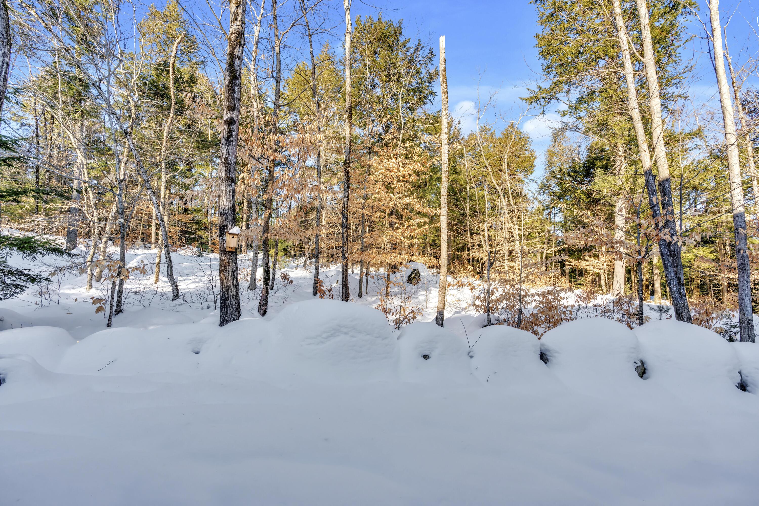 66 Quarry Cove Road Raymond ME 04071