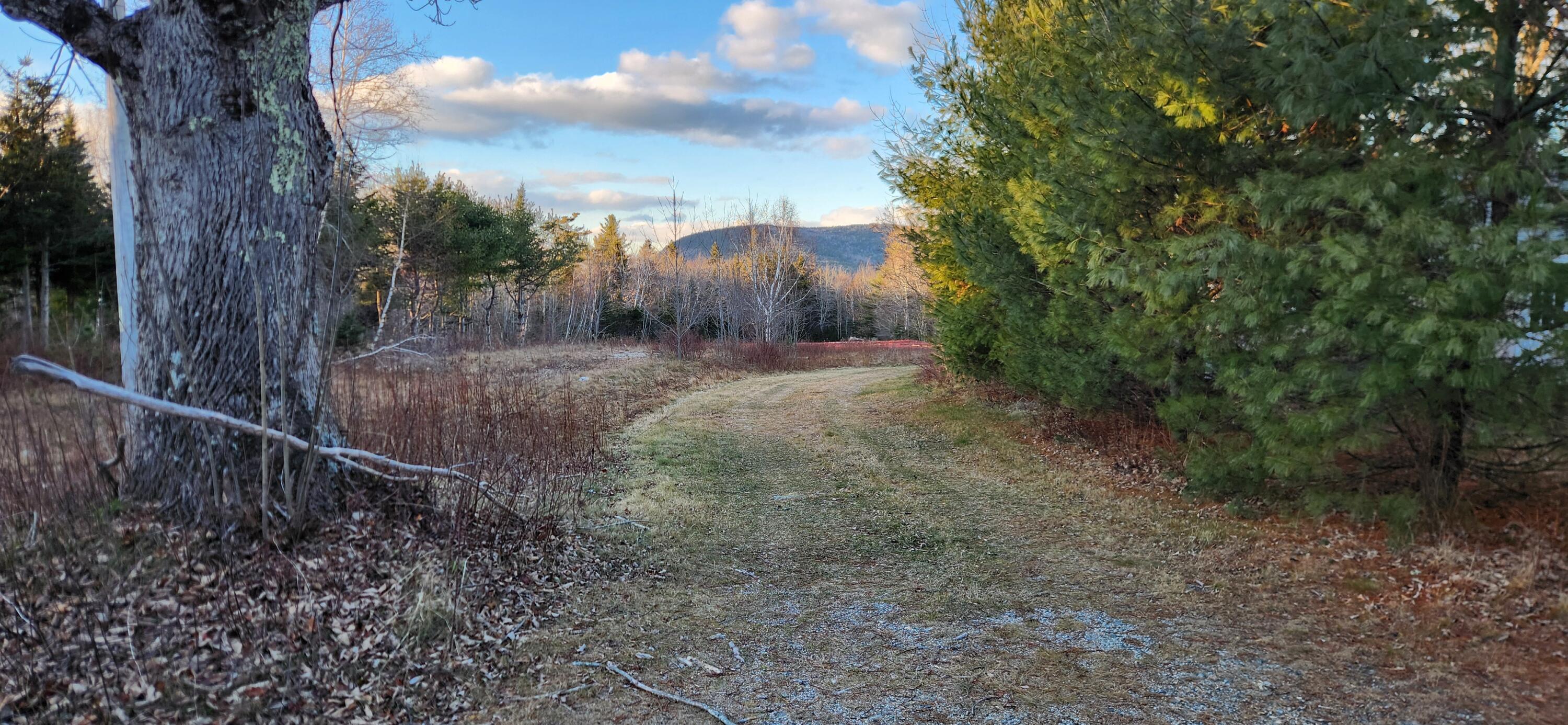 1024 Tunk Lake Road Sullivan ME 04664