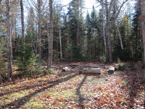 1756 Dexter Road Dover-foxcroft ME 04426