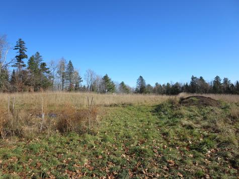 1756 Dexter Road Dover-foxcroft ME 04426