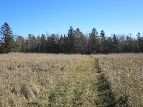 1756 Dexter Road Dover-foxcroft ME 04426