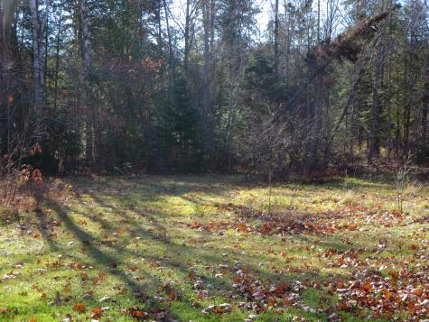 1756 Dexter Road Dover-foxcroft ME 04426