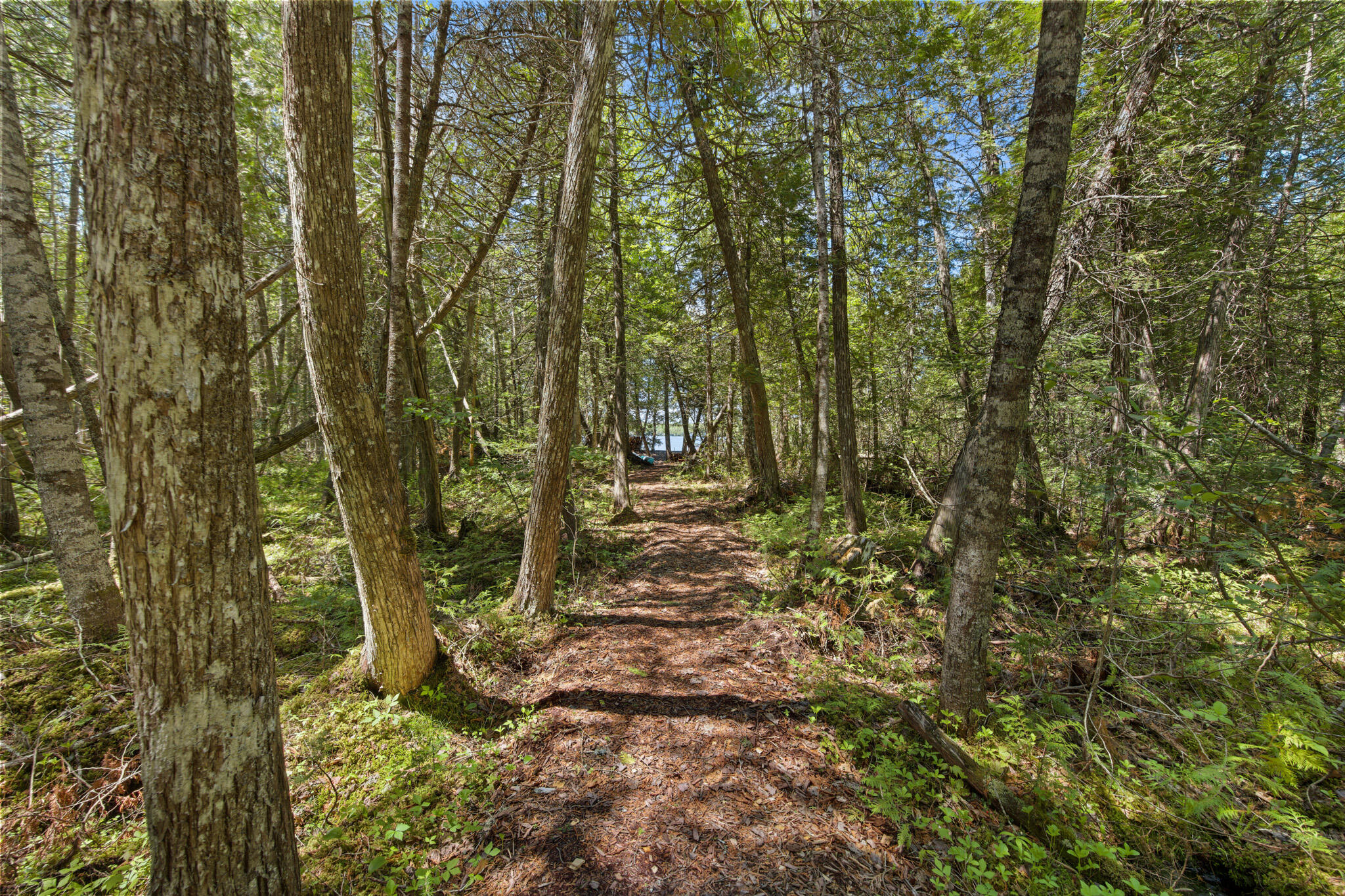 47 Cove Road Lincoln ME 04457