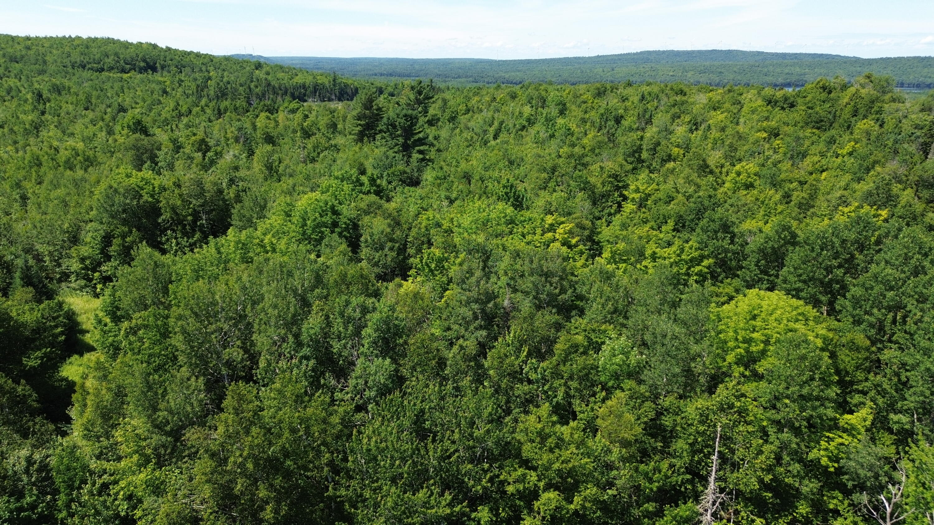 178 Irish Settlement Road Danforth ME 04424